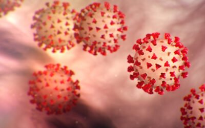 Le coronavirus COVID-19 en Ukraine